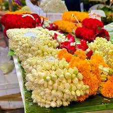 images_original_copy_1_copy_1