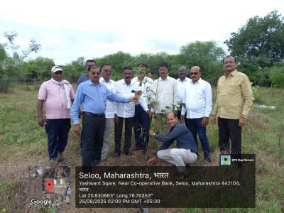 वृक्षारोपण