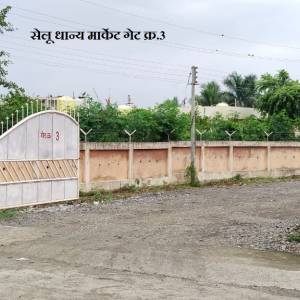 WhatsApp_Image_2026-01-21_at_12.32.50_PM_original